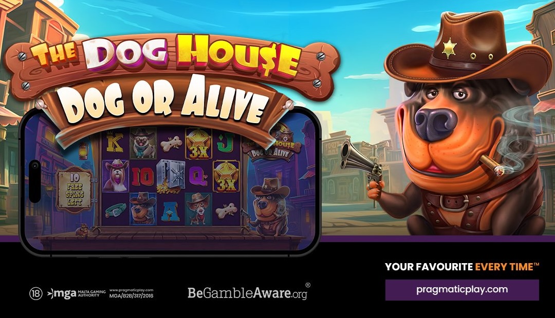 Dog House