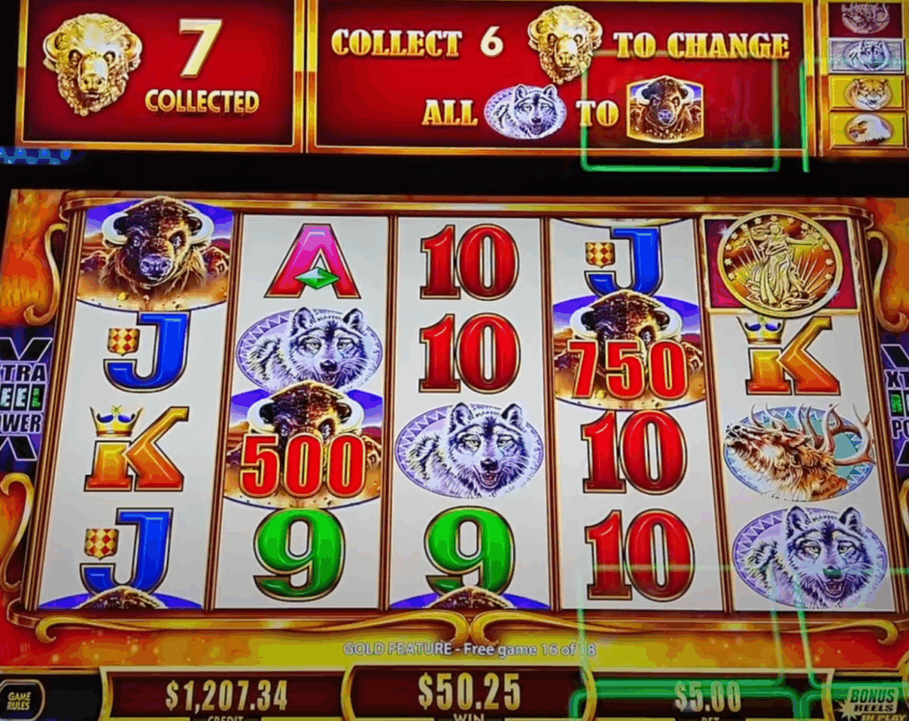 Buffalo Gold Cash Collection (2024)
