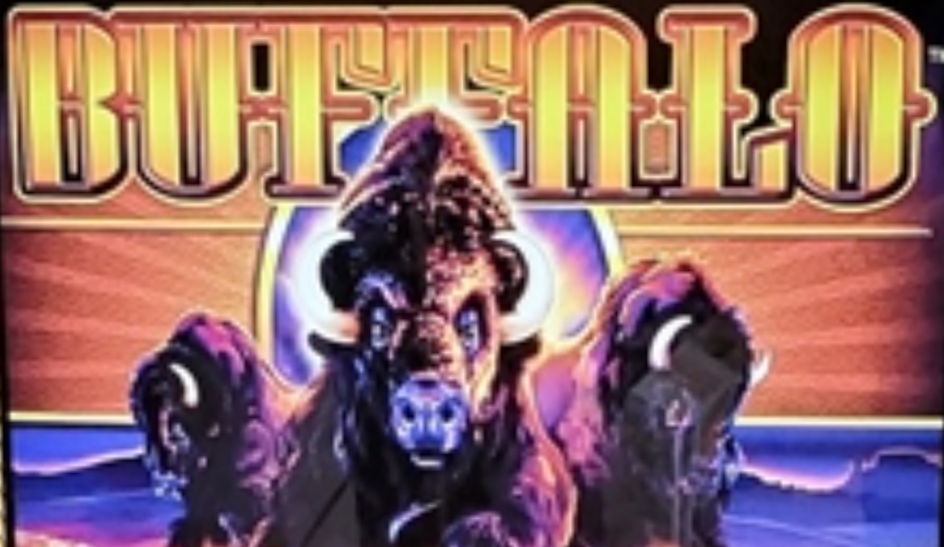 Buffalo Series